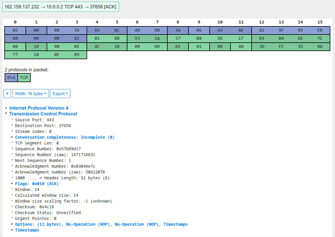 Decoded data segment of the captured ICMP packet