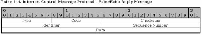 ICMP echo datagram